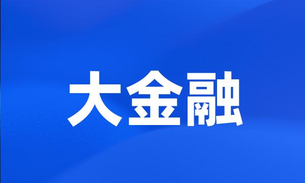 大金融