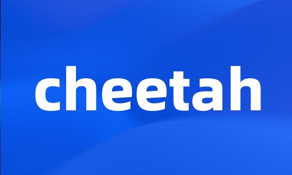 cheetah