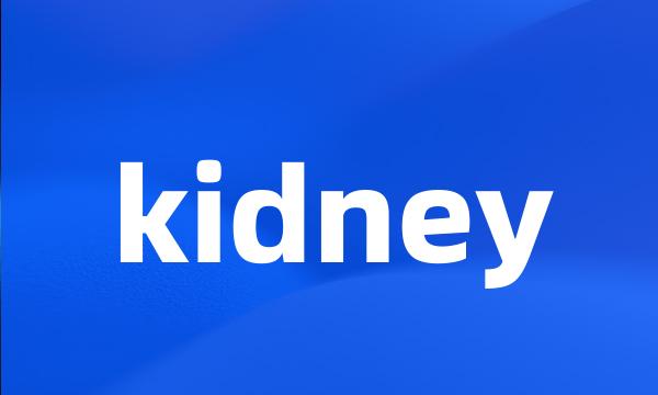 kidney