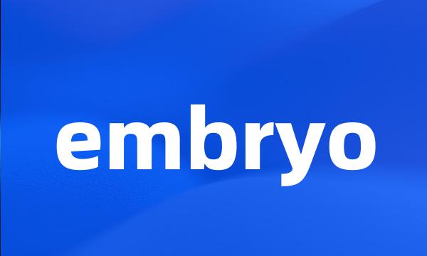 embryo