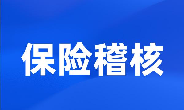 保险稽核