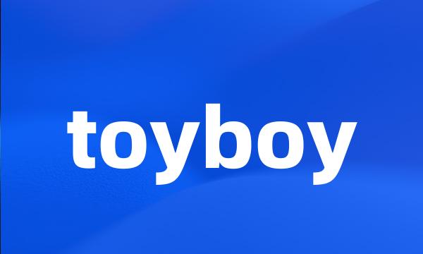 toyboy