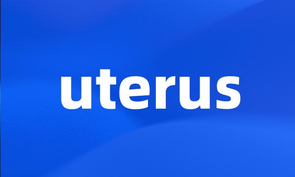 uterus