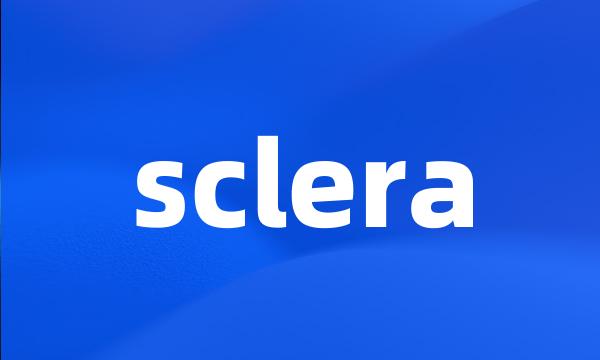 sclera