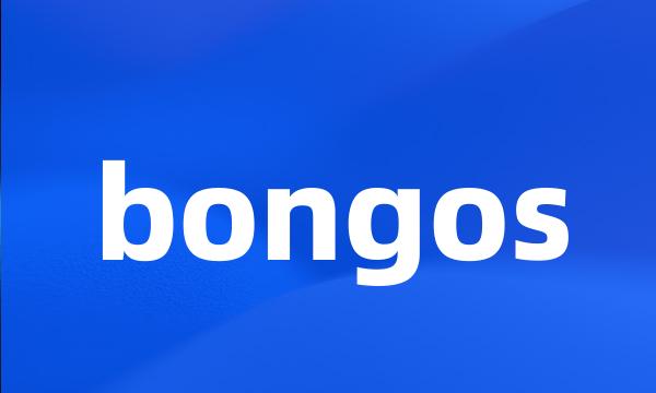 bongos