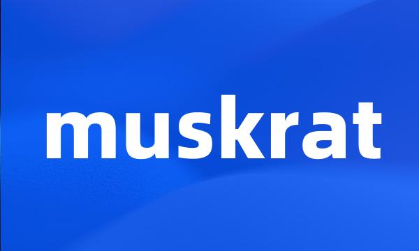 muskrat