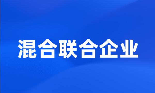 混合联合企业