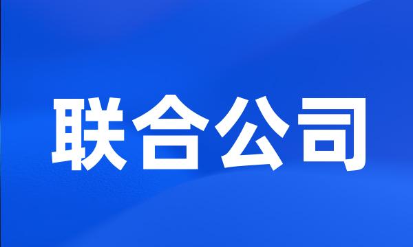 联合公司