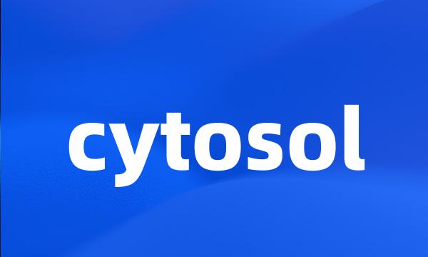 cytosol