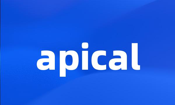 apical