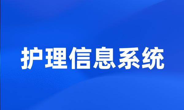 护理信息系统