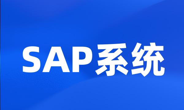 SAP系统