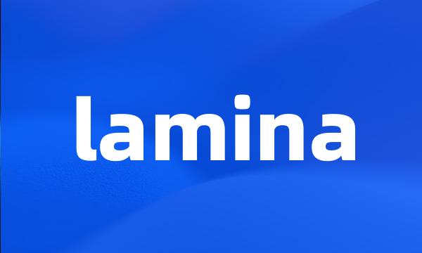 lamina