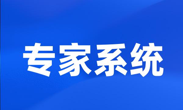 专家系统