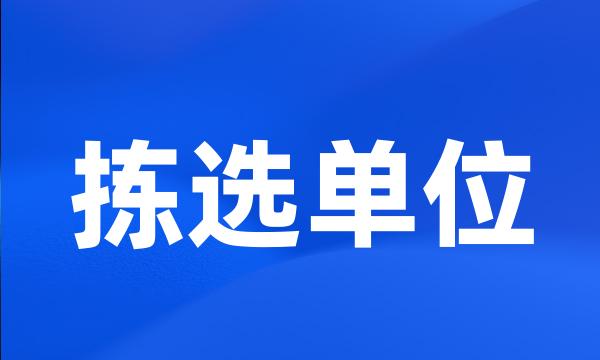 拣选单位