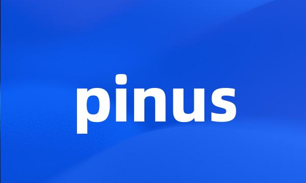 pinus