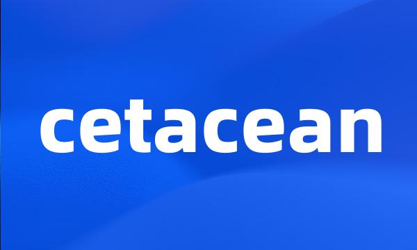 cetacean