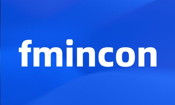 fmincon