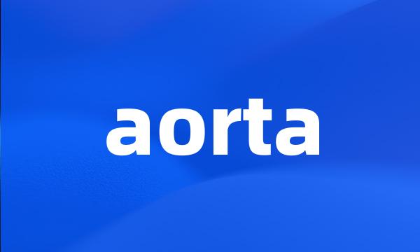 aorta