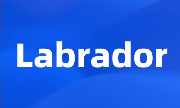 Labrador