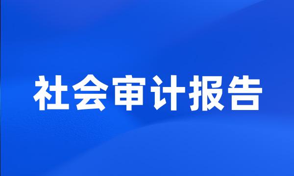 社会审计报告