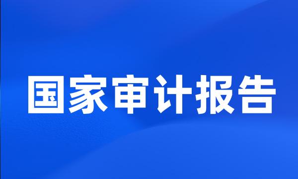 国家审计报告