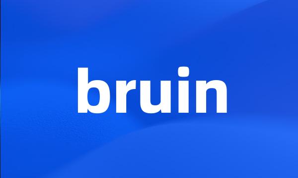 bruin