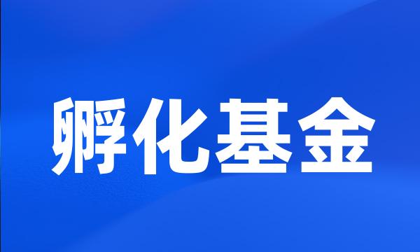 孵化基金