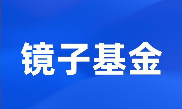 镜子基金