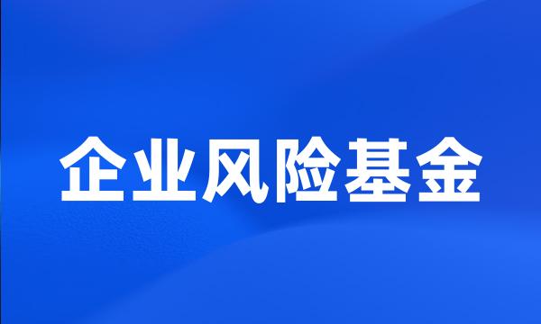 企业风险基金