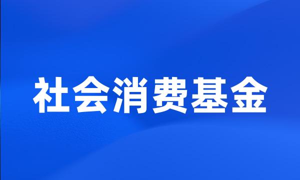 社会消费基金