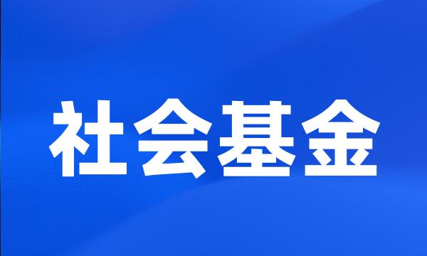 社会基金