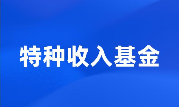 特种收入基金