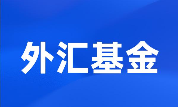 外汇基金