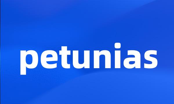 petunias