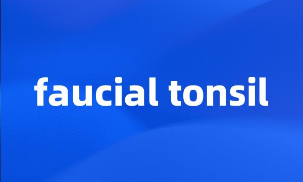 faucial tonsil