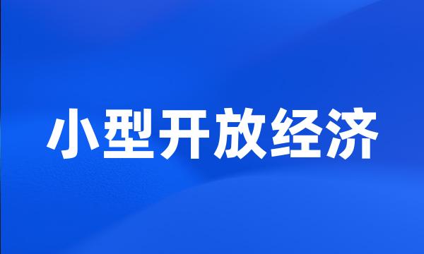 小型开放经济