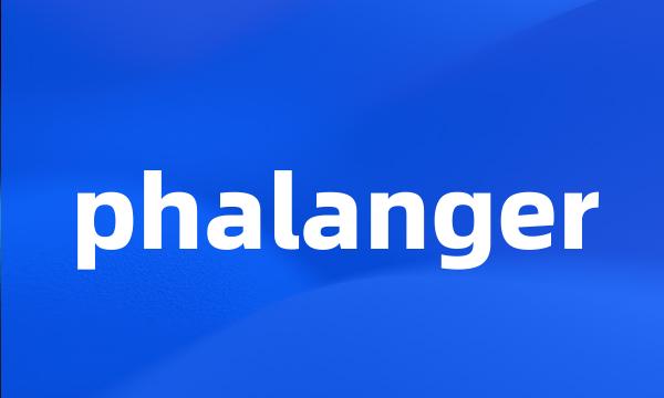 phalanger