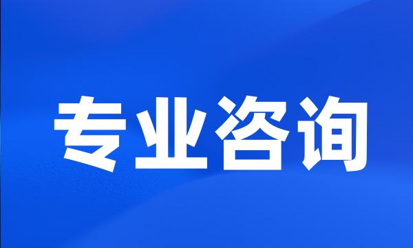 专业咨询