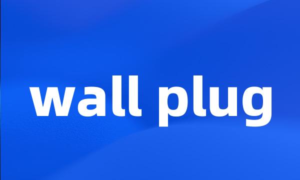 wall plug