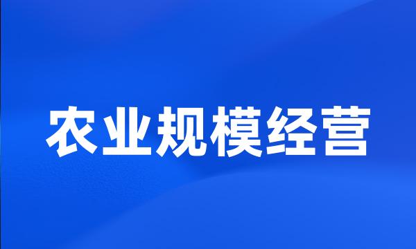 农业规模经营