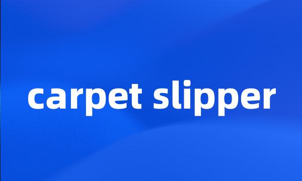 carpet slipper