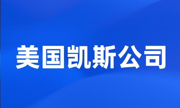 美国凯斯公司