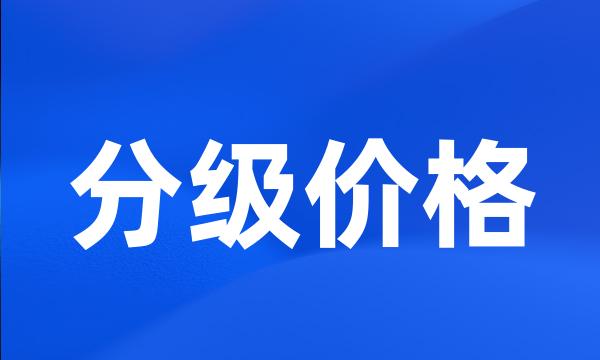 分级价格