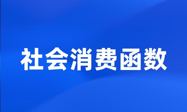 社会消费函数