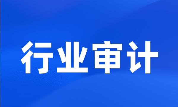 行业审计