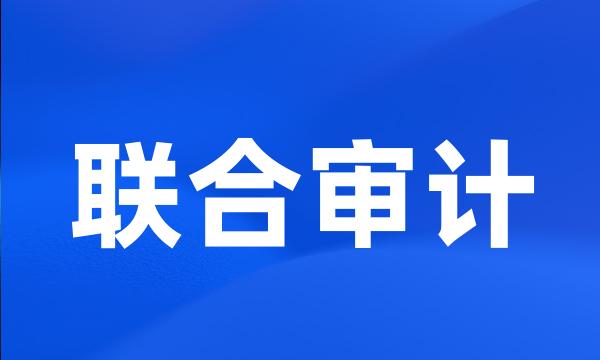 联合审计