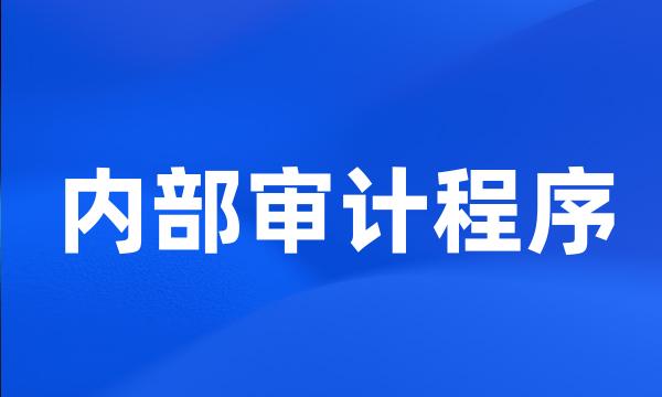 内部审计程序