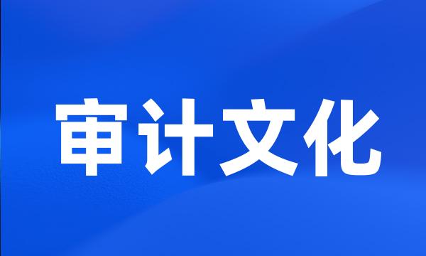 审计文化