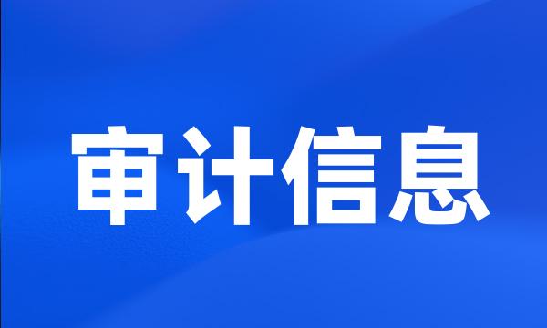 审计信息